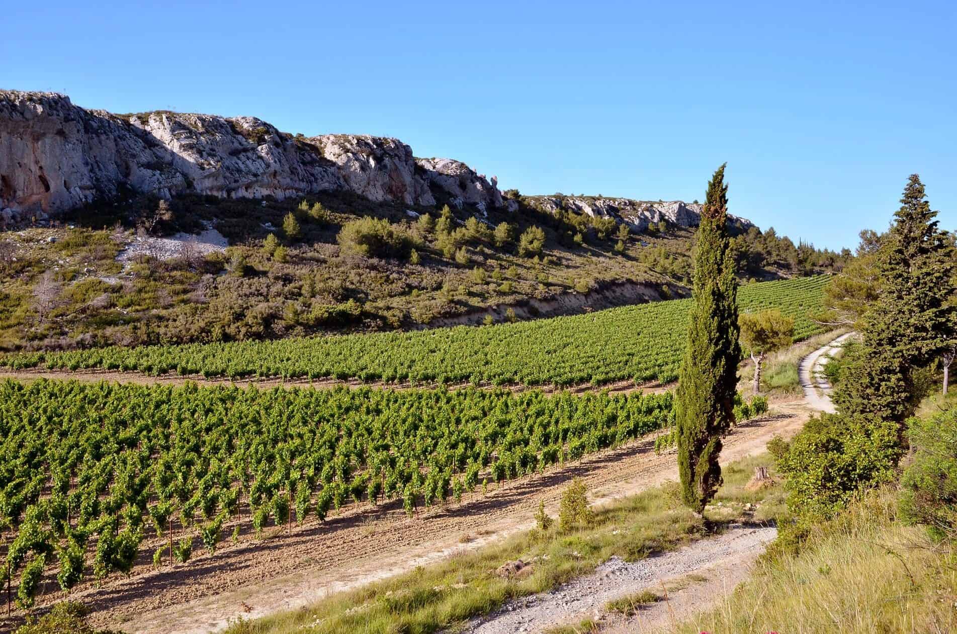 Corbet Languedoc Roussillon