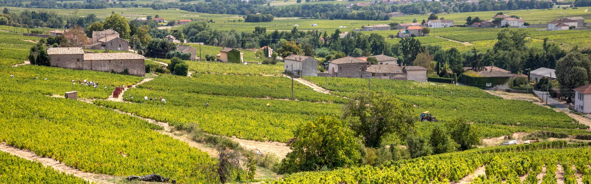 Corbet beaujolais et beaujolais village